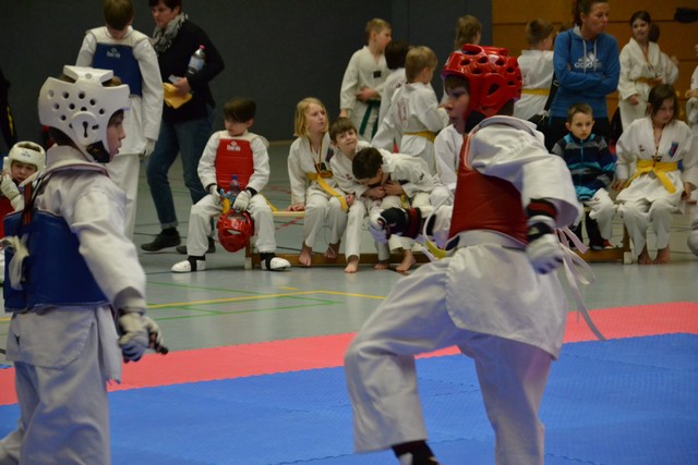 KAMPF » 2014 » Starter Cup