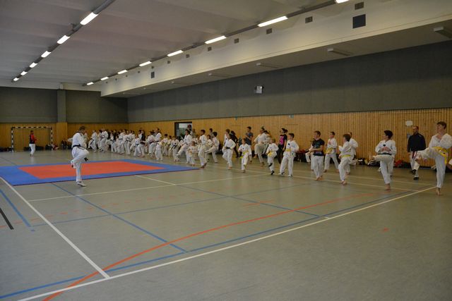 KAMPF » 2013 » Training mit den Dragons