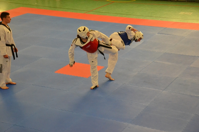 KAMPF » 2014 » Bundes-Dan-Prüfung in Berlin mit Theo und Tini