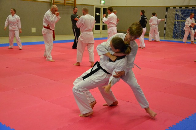 KAMPF » 2014 » SV-Lehrgang mit Michael Babsia