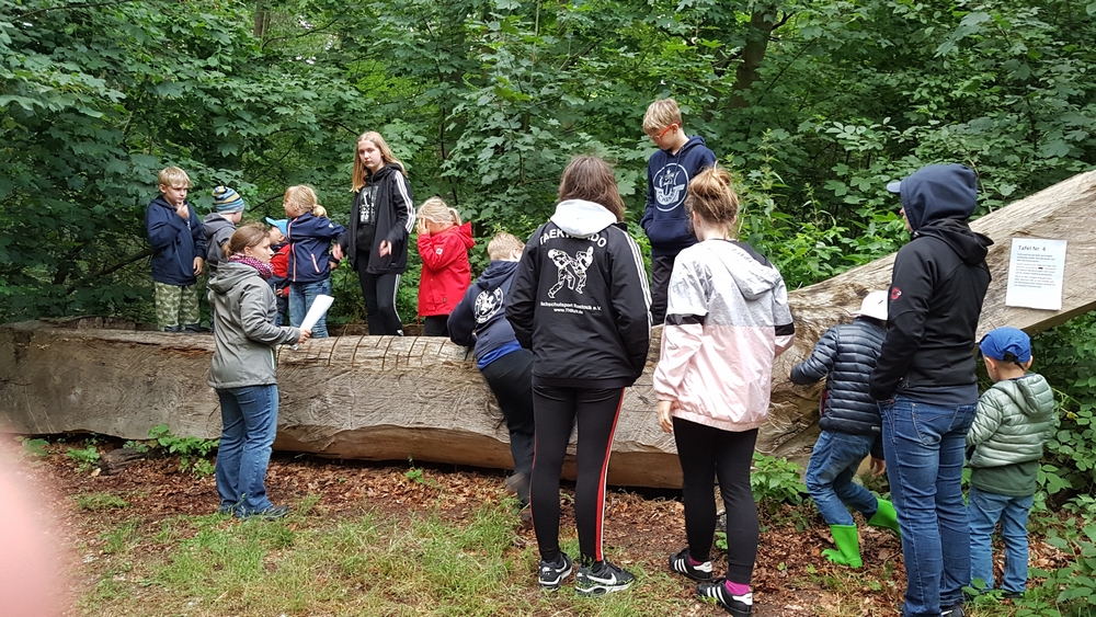 FEIER » 2019 » Sommercamp Juliusruh