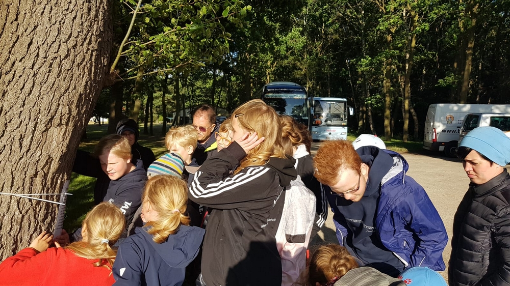FEIER » 2019 » Sommercamp Juliusruh