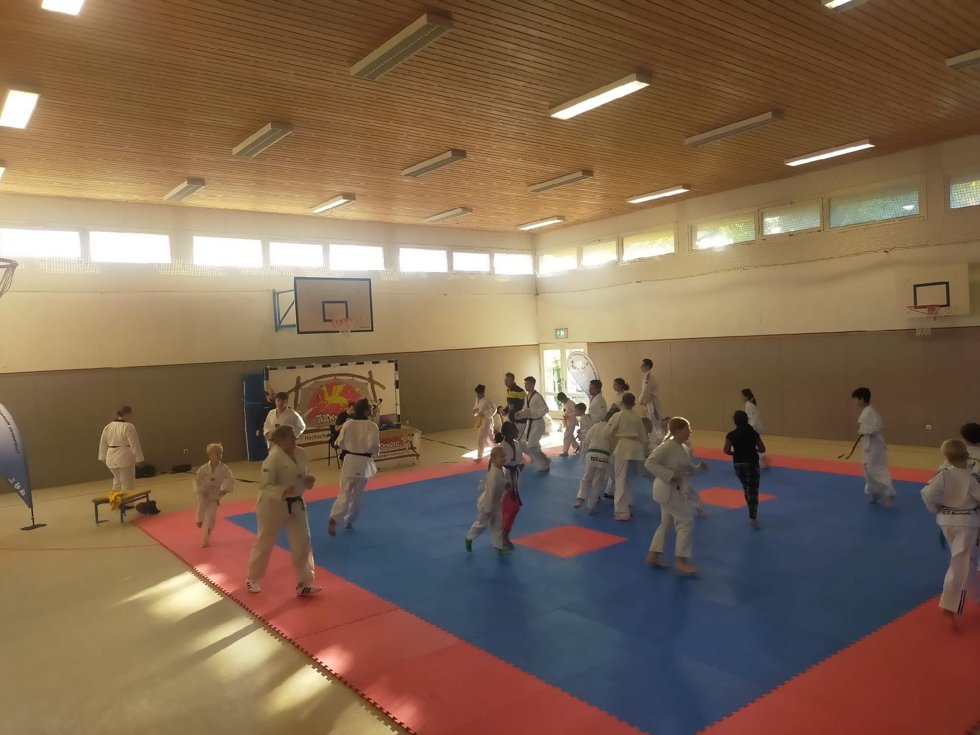 MIX » 2025 » Poomsaelehrgang
Poomsaelehrgang